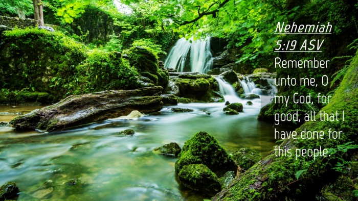 Picture 04 - Nehemiah 5:19 ASV Desktop Wallpaper - Remember unto me, O my God, for good, all that I - Desktop Bible Verse Wallpaper