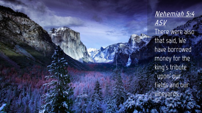 Picture 04 - Nehemiah 5:4 ASV Desktop Wallpaper - There were also that said, We have borrowed money - Desktop Bible Verse Wallpaper