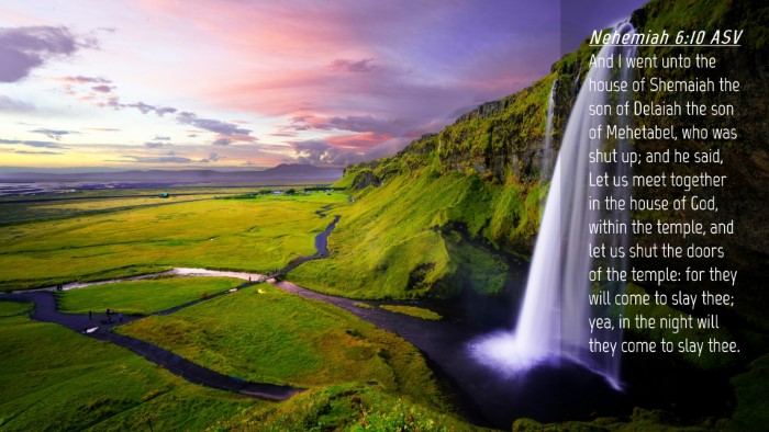 Picture 04 - Nehemiah 6:10 ASV Desktop Wallpaper - And I went unto the house of Shemaiah the son of - Desktop Bible Verse Wallpaper