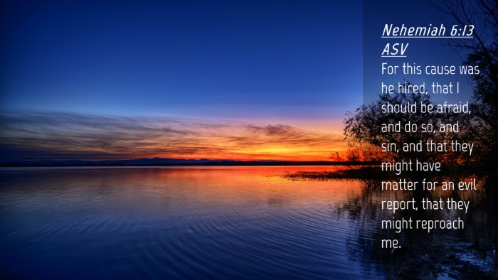 Picture 04 - Nehemiah 6:13 ASV Desktop Wallpaper - For this cause was he hired, that I should be - Desktop Bible Verse Wallpaper