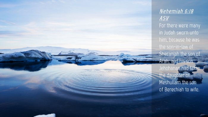 Picture 04 - Nehemiah 6:18 ASV Desktop Wallpaper - For there were many in Judah sworn unto him, - Desktop Bible Verse Wallpaper