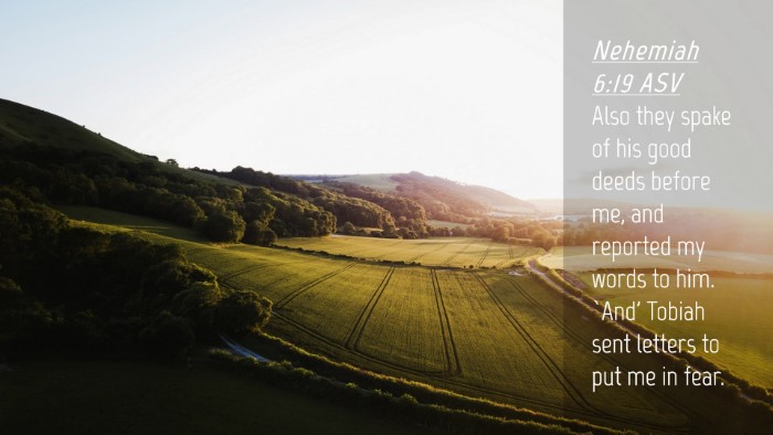 Picture 04 - Nehemiah 6:19 ASV Desktop Wallpaper - Also they spake of his good deeds before me, and - Desktop Bible Verse Wallpaper