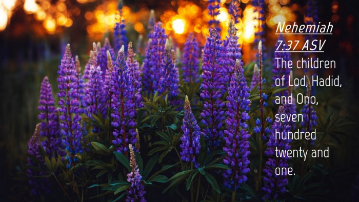 Picture 04 - Nehemiah 7:37 ASV Desktop Wallpaper - The children of Lod, Hadid, and Ono, seven - Desktop Bible Verse Wallpaper