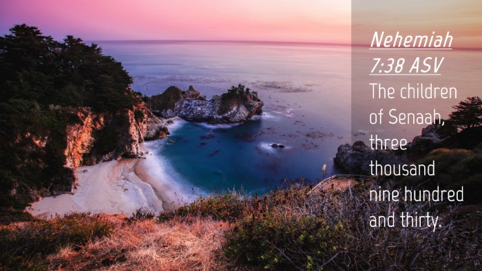 Picture 04 - Nehemiah 7:38 ASV Desktop Wallpaper - The children of Senaah, three thousand nine - Desktop Bible Verse Wallpaper