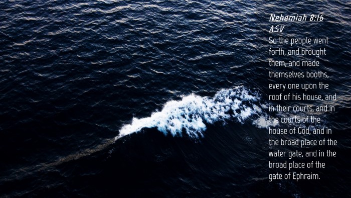 Picture 04 - Nehemiah 8:16 ASV Desktop Wallpaper - So the people went forth, and brought them, and - Desktop Bible Verse Wallpaper