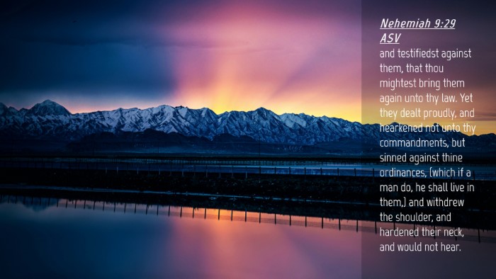 Picture 04 - Nehemiah 9:29 ASV Desktop Wallpaper - and testifiedst against them, that thou mightest - Desktop Bible Verse Wallpaper