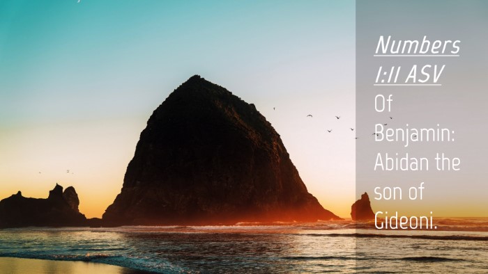 Picture 04 - Numbers 1:11 ASV Desktop Wallpaper - Of Benjamin: Abidan the son of - Desktop Bible Verse Wallpaper