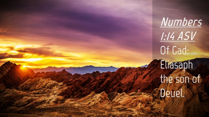 Picture 04 - Numbers 1:14 ASV Desktop Wallpaper - Of Gad: Eliasaph the son of - Desktop Bible Verse Wallpaper