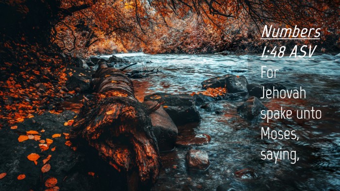 Picture 04 - Numbers 1:48 ASV Desktop Wallpaper - For Jehovah spake unto Moses, - Desktop Bible Verse Wallpaper