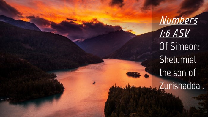 Picture 04 - Numbers 1:6 ASV Desktop Wallpaper - Of Simeon: Shelumiel the son of - Desktop Bible Verse Wallpaper