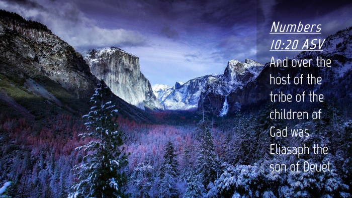 Picture 04 - Numbers 10:20 ASV Desktop Wallpaper - And over the host of the tribe of the children of - Desktop Bible Verse Wallpaper