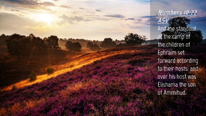 Picture 04 - Numbers 10:22 ASV Desktop Wallpaper - And the standard of the camp of the children of - Desktop Bible Verse Wallpaper
