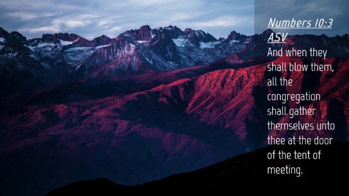 Picture 04 - Numbers 10:3 ASV Desktop Wallpaper - And when they shall blow them, all the - Desktop Bible Verse Wallpaper
