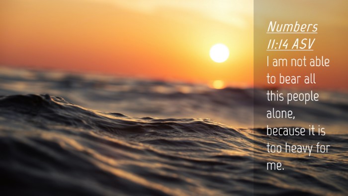 Picture 04 - Numbers 11:14 ASV Desktop Wallpaper - I am not able to bear all this people alone, - Desktop Bible Verse Wallpaper