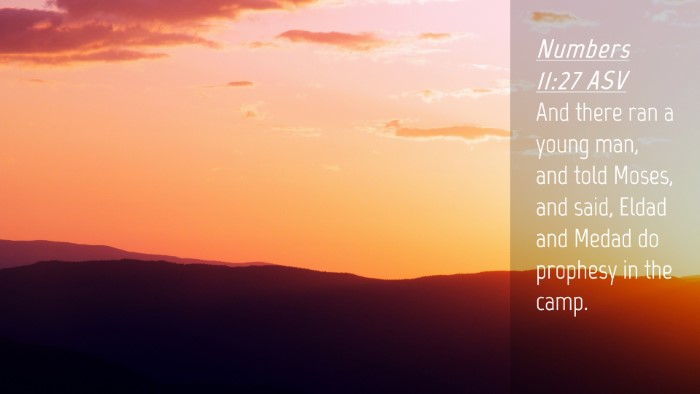 Picture 04 - Numbers 11:27 ASV Desktop Wallpaper - And there ran a young man, and told Moses, and - Desktop Bible Verse Wallpaper