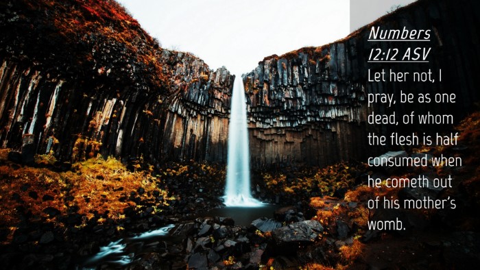 Picture 04 - Numbers 12:12 ASV Desktop Wallpaper - Let her not, I pray, be as one dead, of whom the - Desktop Bible Verse Wallpaper