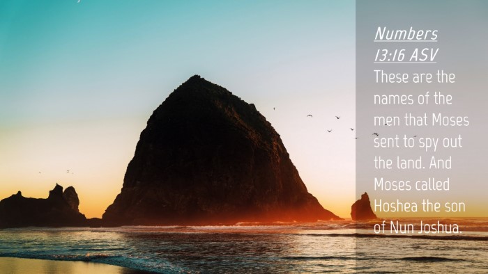 Picture 04 - Numbers 13:16 ASV Desktop Wallpaper - These are the names of the men that Moses sent to - Desktop Bible Verse Wallpaper