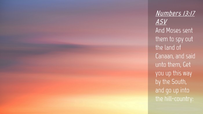 Picture 04 - Numbers 13:17 ASV Desktop Wallpaper - And Moses sent them to spy out the land of - Desktop Bible Verse Wallpaper