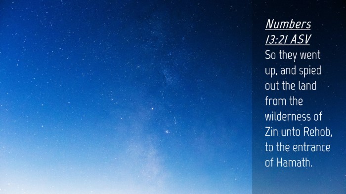 Picture 04 - Numbers 13:21 ASV Desktop Wallpaper - So they went up, and spied out the land from the - Desktop Bible Verse Wallpaper