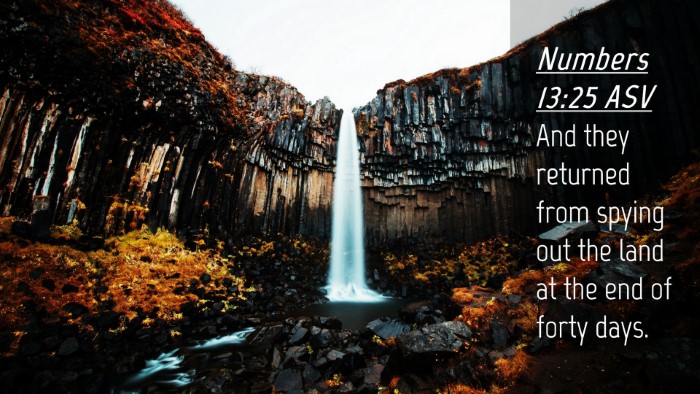Picture 04 - Numbers 13:25 ASV Desktop Wallpaper - And they returned from spying out the land at the - Desktop Bible Verse Wallpaper