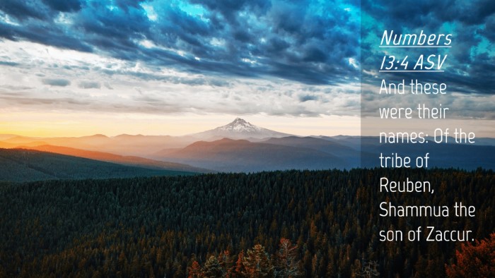Picture 04 - Numbers 13:4 ASV Desktop Wallpaper - And these were their names: Of the tribe of - Desktop Bible Verse Wallpaper