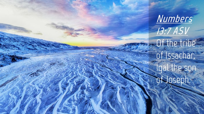Picture 04 - Numbers 13:7 ASV Desktop Wallpaper - Of the tribe of Issachar, Igal the son of - Desktop Bible Verse Wallpaper