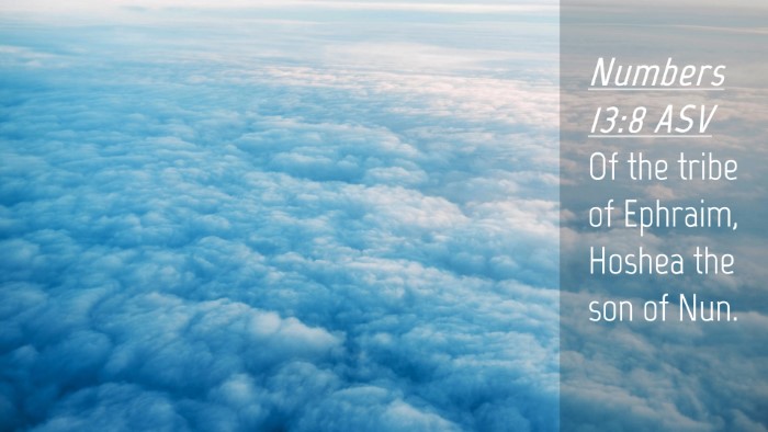 Picture 04 - Numbers 13:8 ASV Desktop Wallpaper - Of the tribe of Ephraim, Hoshea the son of - Desktop Bible Verse Wallpaper