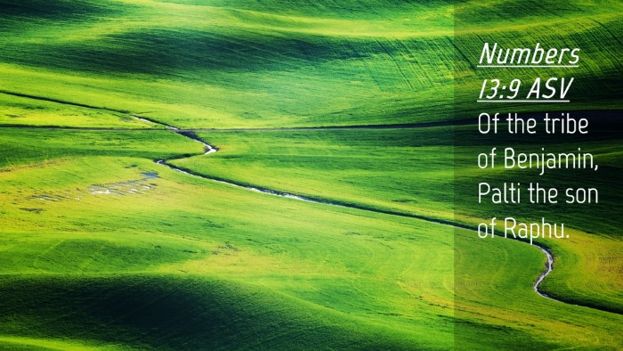 Picture 04 - Numbers 13:9 ASV Desktop Wallpaper - Of the tribe of Benjamin, Palti the son of - Desktop Bible Verse Wallpaper