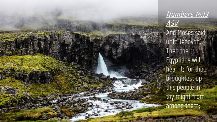 Picture 04 - Numbers 14:13 ASV Desktop Wallpaper - And Moses said unto Jehovah, Then the Egyptians - Desktop Bible Verse Wallpaper