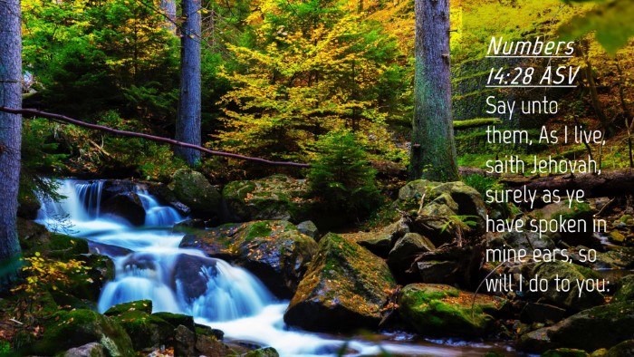 Picture 04 - Numbers 14:28 ASV Desktop Wallpaper - Say unto them, As I live, saith Jehovah, surely - Desktop Bible Verse Wallpaper