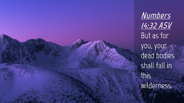 Picture 04 - Numbers 14:32 ASV Desktop Wallpaper - But as for you, your dead bodies shall fall in - Desktop Bible Verse Wallpaper