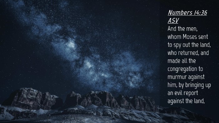 Picture 04 - Numbers 14:36 ASV Desktop Wallpaper - And the men, whom Moses sent to spy out the land, - Desktop Bible Verse Wallpaper