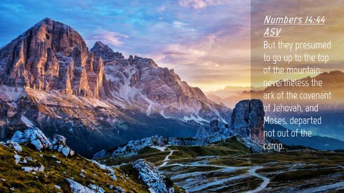 Picture 04 - Numbers 14:44 ASV Desktop Wallpaper - But they presumed to go up to the top of the - Desktop Bible Verse Wallpaper