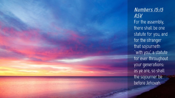 Picture 04 - Numbers 15:15 ASV Desktop Wallpaper - For the assembly, there shall be one statute for - Desktop Bible Verse Wallpaper