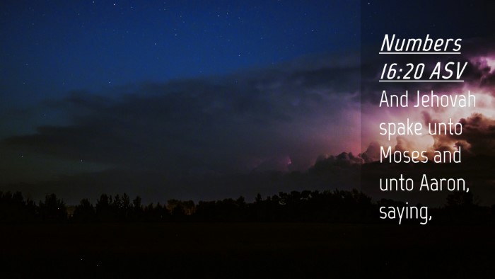 Picture 04 - Numbers 16:20 ASV Desktop Wallpaper - And Jehovah spake unto Moses and unto Aaron, - Desktop Bible Verse Wallpaper