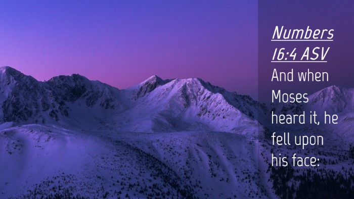 Picture 04 - Numbers 16:4 ASV Desktop Wallpaper - And when Moses heard it, he fell upon his - Desktop Bible Verse Wallpaper