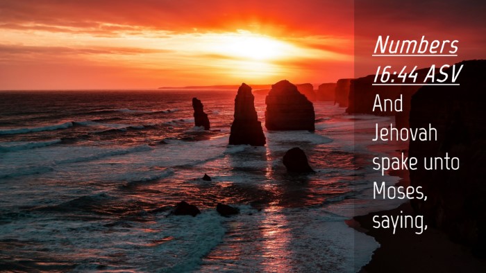Picture 04 - Numbers 16:44 ASV Desktop Wallpaper - And Jehovah spake unto Moses, - Desktop Bible Verse Wallpaper