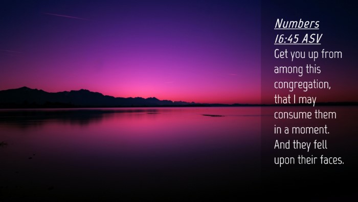 Picture 04 - Numbers 16:45 ASV Desktop Wallpaper - Get you up from among this congregation, that I - Desktop Bible Verse Wallpaper