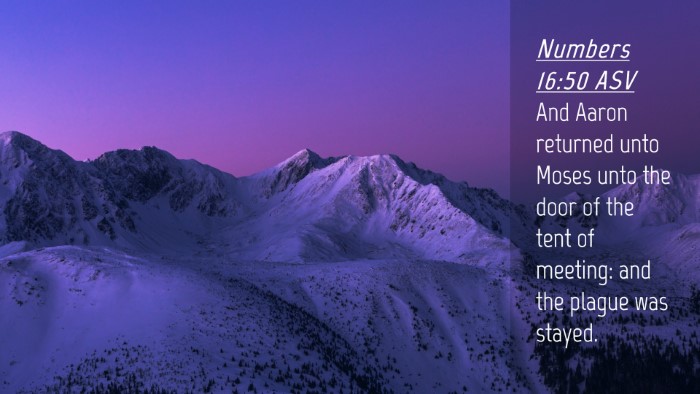 Picture 04 - Numbers 16:50 ASV Desktop Wallpaper - And Aaron returned unto Moses unto the door of - Desktop Bible Verse Wallpaper