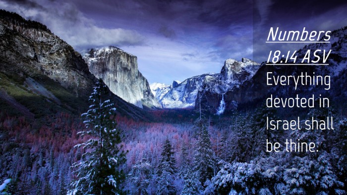 Picture 04 - Numbers 18:14 ASV Desktop Wallpaper - Everything devoted in Israel shall be - Desktop Bible Verse Wallpaper
