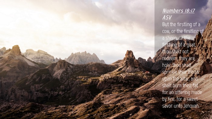 Picture 04 - Numbers 18:17 ASV Desktop Wallpaper - But the firstling of a cow, or the firstling of a - Desktop Bible Verse Wallpaper