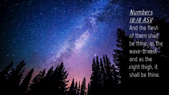 Picture 04 - Numbers 18:18 ASV Desktop Wallpaper - And the flesh of them shall be thine, as the - Desktop Bible Verse Wallpaper