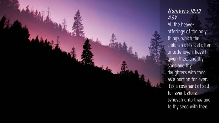Picture 04 - Numbers 18:19 ASV Desktop Wallpaper - All the heave-offerings of the holy things, which - Desktop Bible Verse Wallpaper