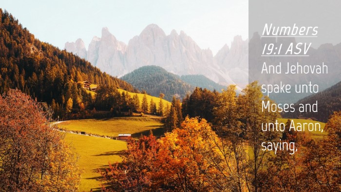 Picture 04 - Numbers 19:1 ASV Desktop Wallpaper - And Jehovah spake unto Moses and unto Aaron, - Desktop Bible Verse Wallpaper