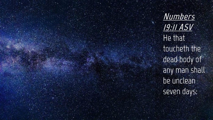 Picture 04 - Numbers 19:11 ASV Desktop Wallpaper - He that toucheth the dead body of any man shall - Desktop Bible Verse Wallpaper