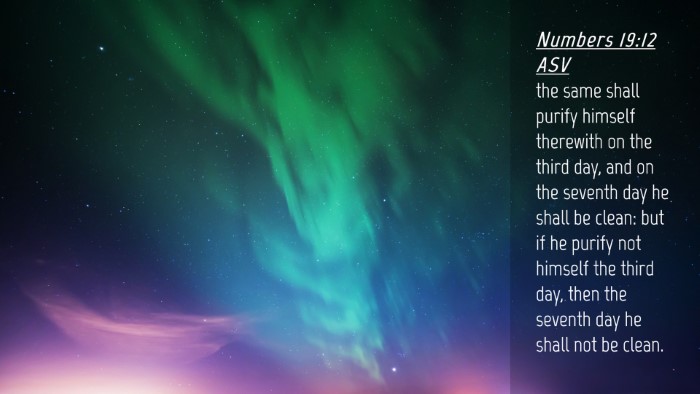 Picture 04 - Numbers 19:12 ASV Desktop Wallpaper - the same shall purify himself therewith on the - Desktop Bible Verse Wallpaper