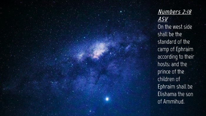 Picture 04 - Numbers 2:18 ASV Desktop Wallpaper - On the west side shall be the standard of the - Desktop Bible Verse Wallpaper