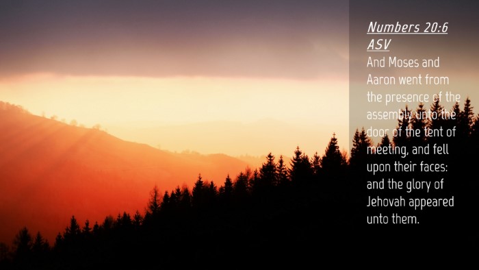 Picture 04 - Numbers 20:6 ASV Desktop Wallpaper - And Moses and Aaron went from the presence of the - Desktop Bible Verse Wallpaper