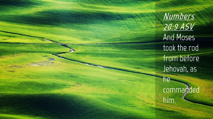 Picture 04 - Numbers 20:9 ASV Desktop Wallpaper - And Moses took the rod from before Jehovah, as he - Desktop Bible Verse Wallpaper