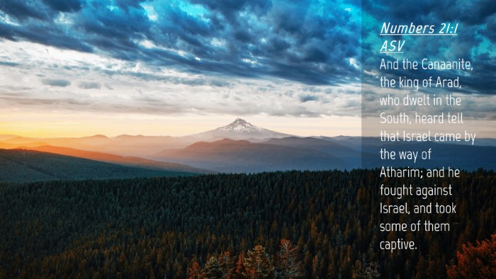 Picture 04 - Numbers 21:1 ASV Desktop Wallpaper - And the Canaanite, the king of Arad, who dwelt in - Desktop Bible Verse Wallpaper